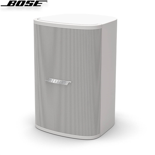 Loa Bose DesignMax DM3SE 2
